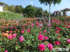 �I�������������̃o����in2015