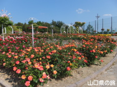 �I�������������̃o����in2015