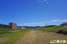 �m�ې�͐�~�̃R�X���X