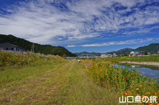 �m�ې�͐�~�̃R�X���X