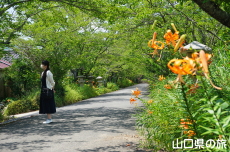 ���I�����{�̃I�j����