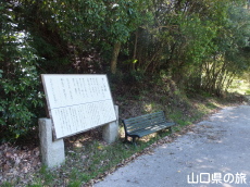 �������玍��