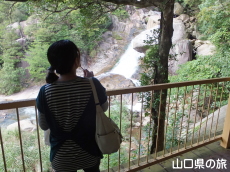 �W�]�䂩�猩���