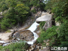 �W�]�䂩�猩���