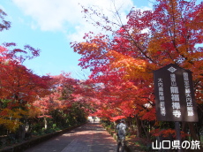 �������̍g�t