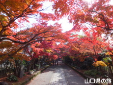 �������̍g�t