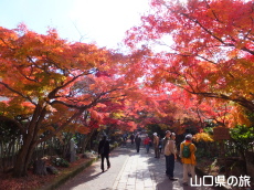 �������̍g�t