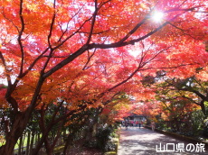 �������̍g�t