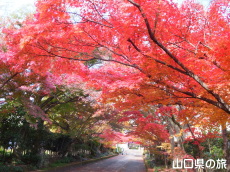 �������̍g�t