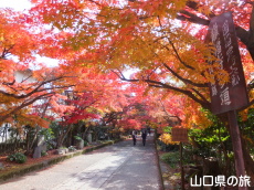 �������̍g�t