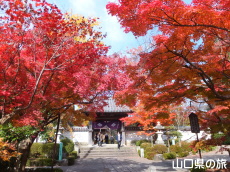 �������̍g�t