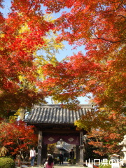 �������̍g�t