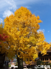 �������̍g�t