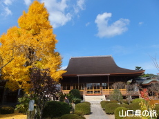 �������̖{��