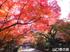 �������̍g�t