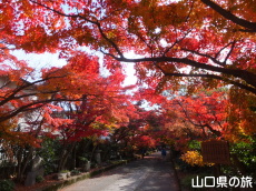 �������̍g�t