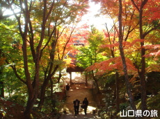 �������̍g�t