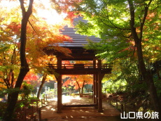 �������̍g�t