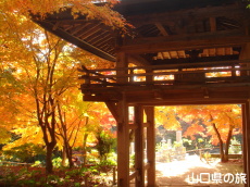 �������̍g�t