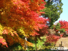 �������̍g�t