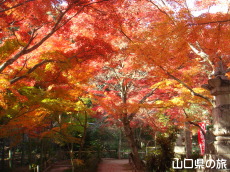 �������̍g�t