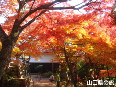 �������̍g�t