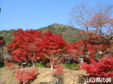 �������̍g�t