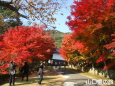 �������̍g�t