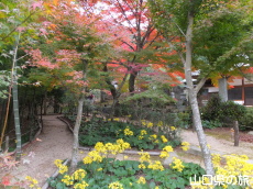 �������̂�Ԃ�