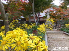 �������̂�Ԃ�