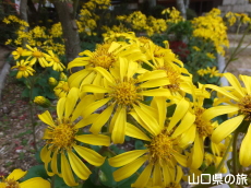 �������̂�Ԃ�