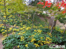 �������̂�Ԃ�