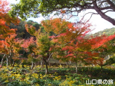 �������̂�Ԃ��ƍg�t