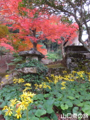 �������̂�Ԃ��ƍg�t