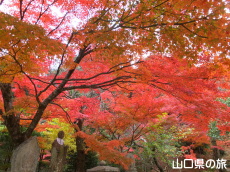 �������̍g�t