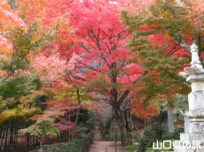 �������̍g�t