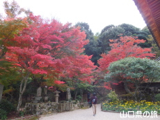 �������̍g�t