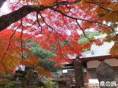 �������̍g�t