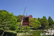 瑠璃光寺五重塔「令和の大改修」