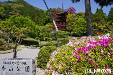 瑠璃光寺五重塔「令和の大改修」