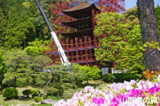 瑠璃光寺五重塔「令和の大改修」