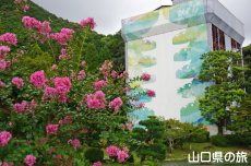 令和の大改修と、さるすべり