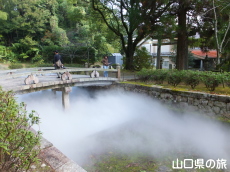 �uLIFE-WELL�v�C���X�^���[�V����