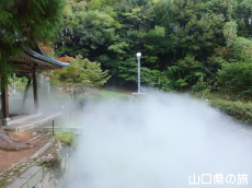 �uLIFE-WELL�v�C���X�^���[�V����