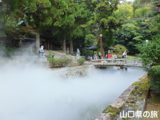 �uLIFE-WELL�v�C���X�^���[�V����