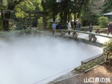 �uLIFE-WELL�v�C���X�^���[�V����