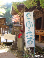 ���������n��