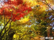 �������̑�C�`���E