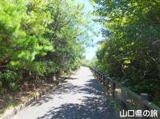 �����R����