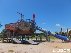 �����R����